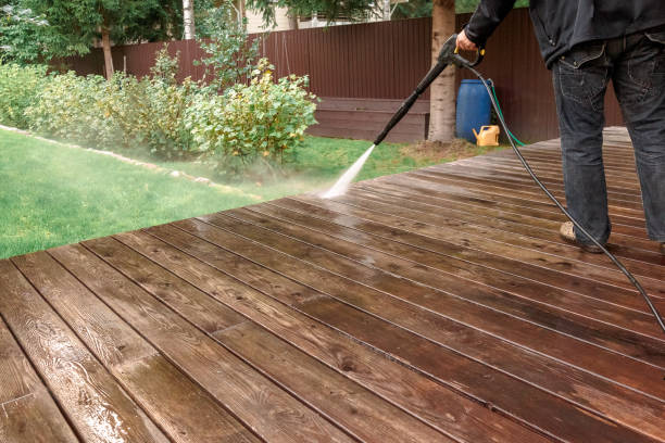 Best Solar Panel Cleaning  in Little River Academy, TX