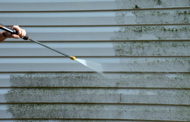 Best Residential Exterior Washing  in Little River Academy, TX